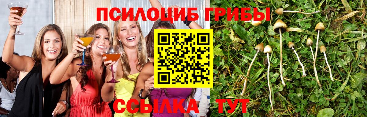 Галлюциногенные грибы GOLDEN TEACHER Избербаш