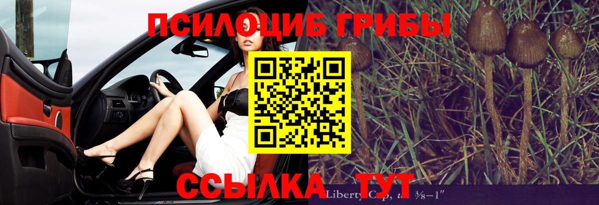 Галлюциногенные грибы мухоморы  Галлюциногенные грибы мицелий  Избербаш  Вход с VPN 